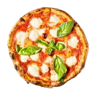pizza margherita