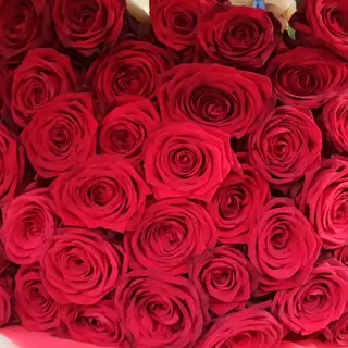 Red premium