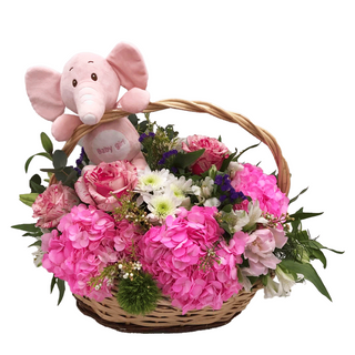 Cesta Recien Nacido Niña