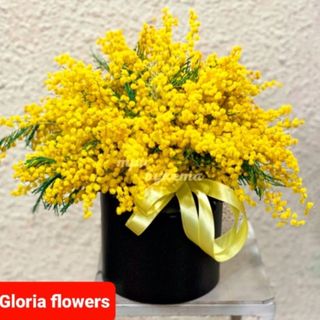 ყუთის კომპოზიცია მიმოზებით