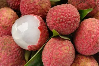 Lichias