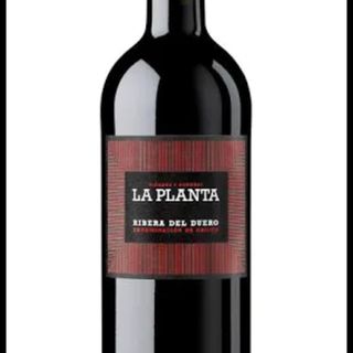 la planta 