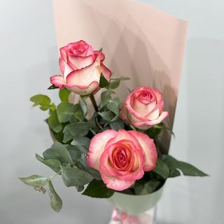 სამი ვარდი ჯუმელია 3026