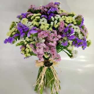 Ramo de Statice de cores variadas