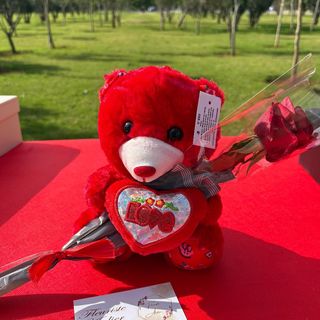 Fleurs avec un Teddy 