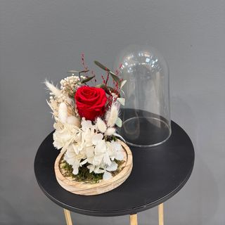 Centro de una preservada 