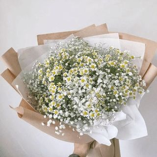 Букет з ромашки та гіпсофіли