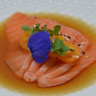 Ceviche salmon