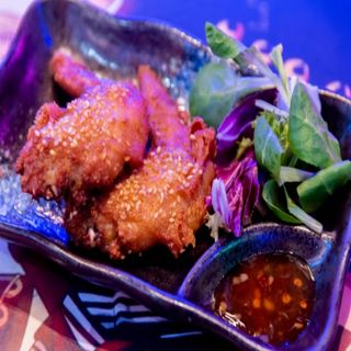 13. Shibuya Wing (2 Uds.)