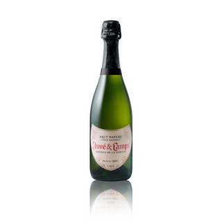 Cava Juve i Camps (75 cl.)