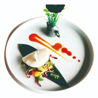 116. Yaki Bao (1Ud.)