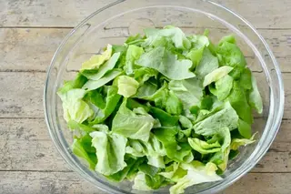 Zelena salata 