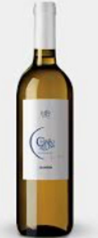 Vino Falanghina 70 cl