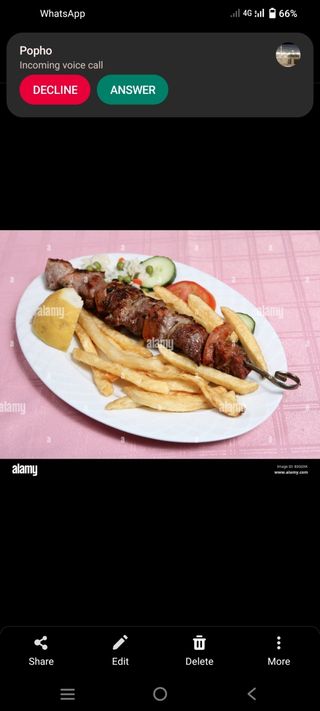 Tapa De Seekh Khaab (2 Uds.)