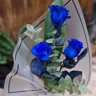 Trío rosas azules "Mar de Alborán" 