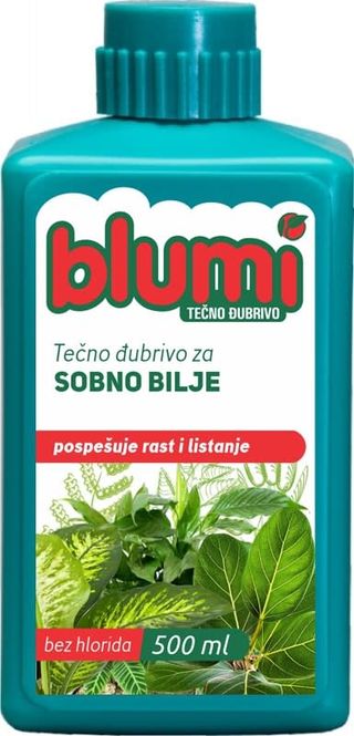 Blumi za sobno bilje