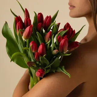 20 tulipanes rojos