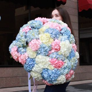 51 гортензия микс
