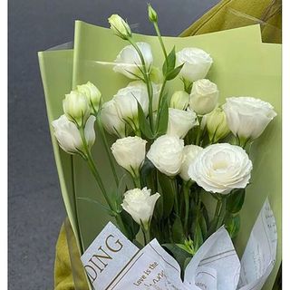  თეთრი ეუსტომები (3)