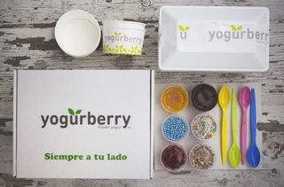 Yogur Helado Sabor Natural Tarrina (500 Ml.)