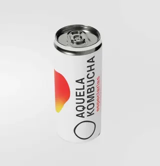 Aquela Kombucha Especiarias - 25cl (lata)