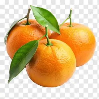 Arance giardino 1kg
