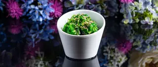 Insalata di Alghe