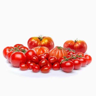 Tomate Maduro (1Kg)