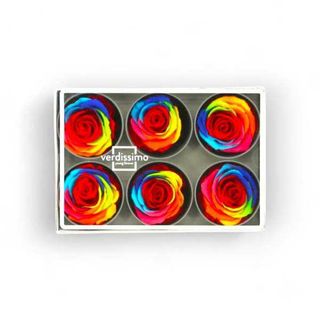Caixa com 6 Rosas Rainbow