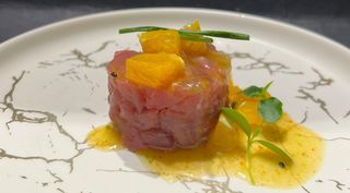 -108a- Tartar Di Tonno