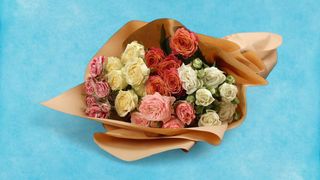 ფერადი სპრეი ვარდების თაიგული