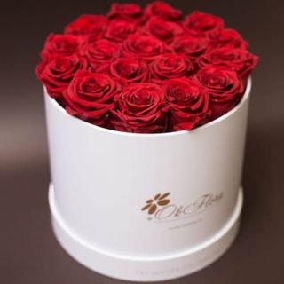 17 trandafiri criogenați roșii în cutie de lux mare alba