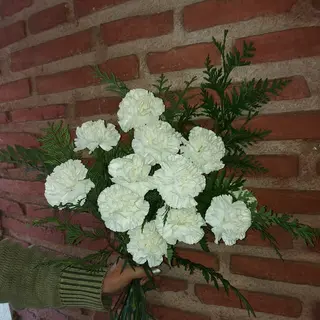 Ramo De dos Docena De Claveles Blancos