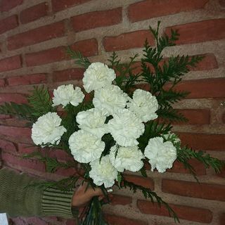 Ramo De dos Docena De Claveles Blancos