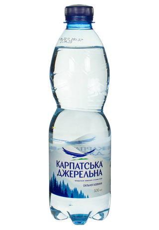Карпатська джерельна сильногазавана (1л)