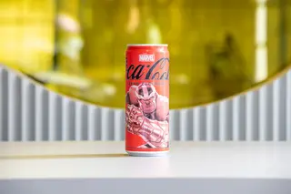 Coca-Cola Zero in lattina33 cl