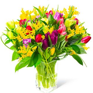 Tulipani misti e Mimosa 