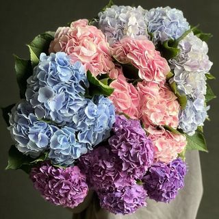 Buchet Hortensii FB 2