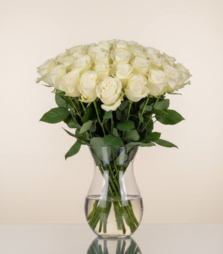 Троянди голландські  білі