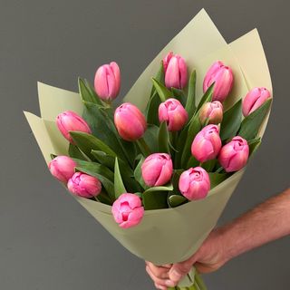 15 Tulipanes Rosas