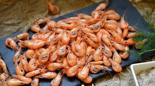 Креветка солоно-сушена 100г