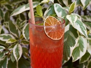 Лимонад полуниця кафір-лайм (300ml)