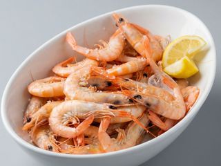 Gamba da Costa