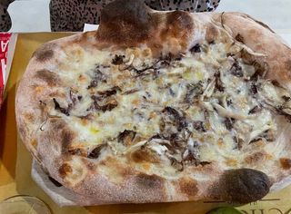 Trevigiana tradizionale