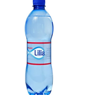 Acqua frizzante 33 cl