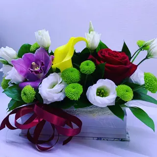 Cutie mix 13