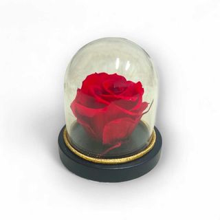 Mini Campânula Rosa Vermelha