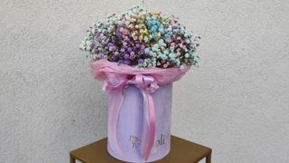 Flowerbox z kolorową gipsówką