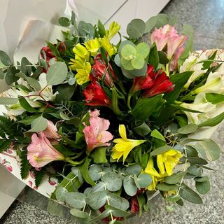 Ramo duradero y alegre 