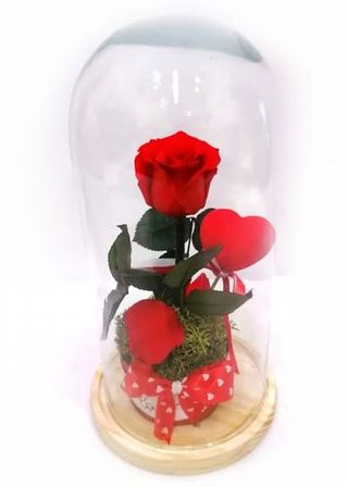 Bella y la bestia roja